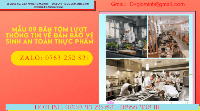 Mẫu số 09 bản tóm lược thông tin về điều kiện bảo đảm an toàn thực phẩm của cơ sở sản xuất, kinh doanh 5 Biểu mẫu kèm theo nghị định 15/2018/NĐ-CP