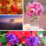 Cần thành lập trung tâm ngoại ngữ TPHCM