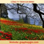 Cần đăng ký mã vạch tại Thành phố Hồ Chí Minh