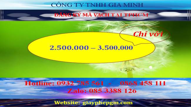 Chi phí đăng ký mã vạch tại Thành phố Hồ Chí Minh