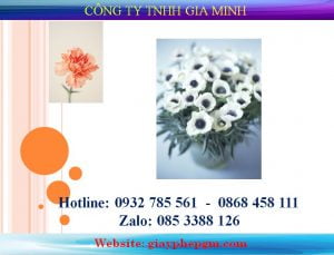 Dịch vụ làm thẻ tạm trú tại TPHCM 14 Dịch vụ làm thẻ tạm trú tại Tphcm