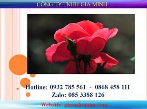 Thay đổi ngành nghề kinh doanh TPHCM 6 Cần thay đổi ngành nghề kinh doanh Thành phố Hồ Chí Minh