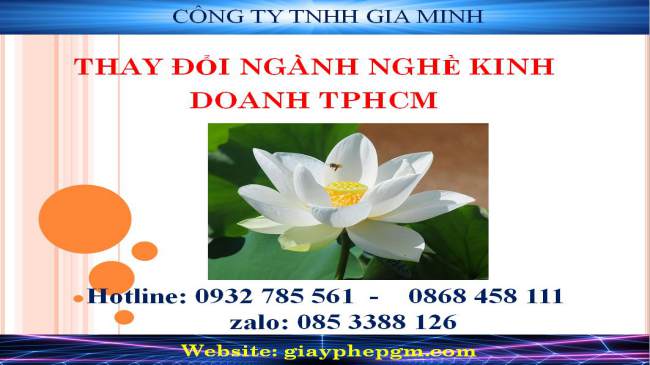 Thay đổi ngành nghề kinh doanh TPHCM 4 Thủ tục thay đổi ngành nghề kinh doanh tại TPHCM