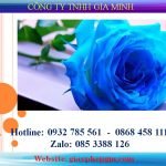 Thay đổi tên công ty tại TPHCM 6 Thủ tục thay đổi tên doanh nghiệp tại TPHCM