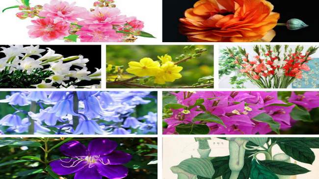 Điều kiện thành lập trung tâm ngoại ngữ TPHCM 5 Chi phí thành lập trung tâm ngoại ngữ TPHCM