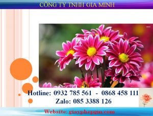 Tờ khai đề nghị cấp thẻ tạm trú - na6 12 Tờ khai đề nghị cấp thẻ tạm trú - NA6