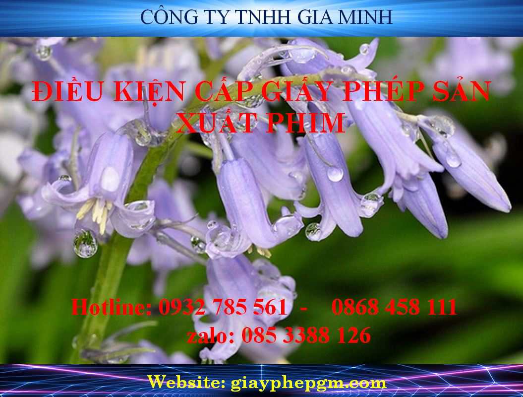 Điều kiện cấp giấy phép sản xuất phim