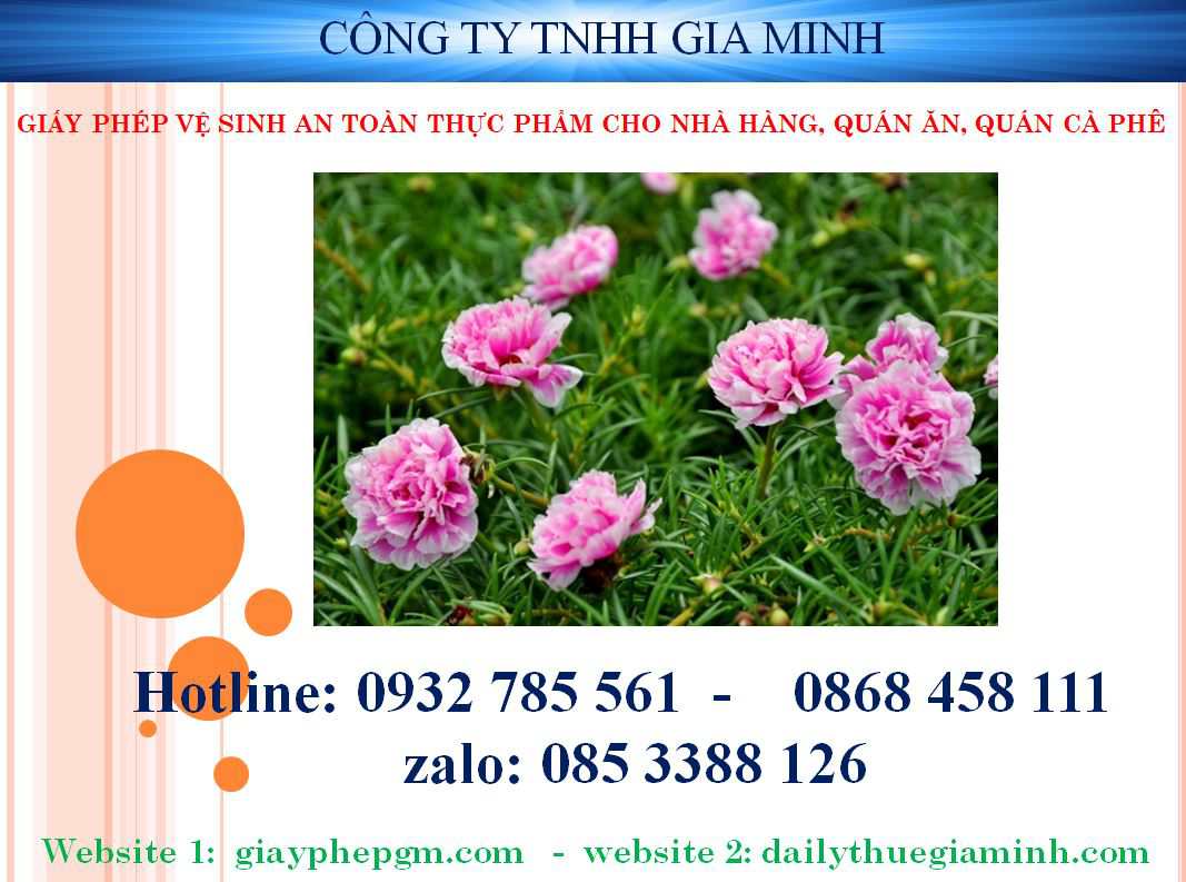 Giấy phép vệ sinh an toàn thực phẩm cho nhà hàng quán ăn quán cà phê 10 Đăng ký giấy phép vệ sinh an toàn thực phẩm cho quán cafe