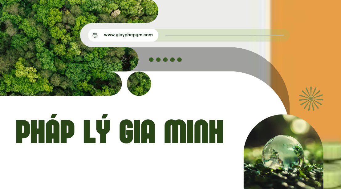 Thủ Tục Giải Thể Văn Phòng Đại Diện: Quy Trình, Hồ Sơ và Chi Phí Mới Nhất 10 Biên bản thanh lý tài sản văn phòng đại diện