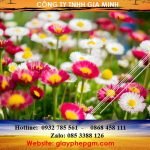Thủ tục Tạm ngừng kinh doanh tại Quận Ba Đình – Hà Nội