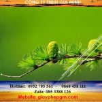 dailythuegiaminh.com tam ngung kinh doanh tai quan bac tu liem ha noi 3