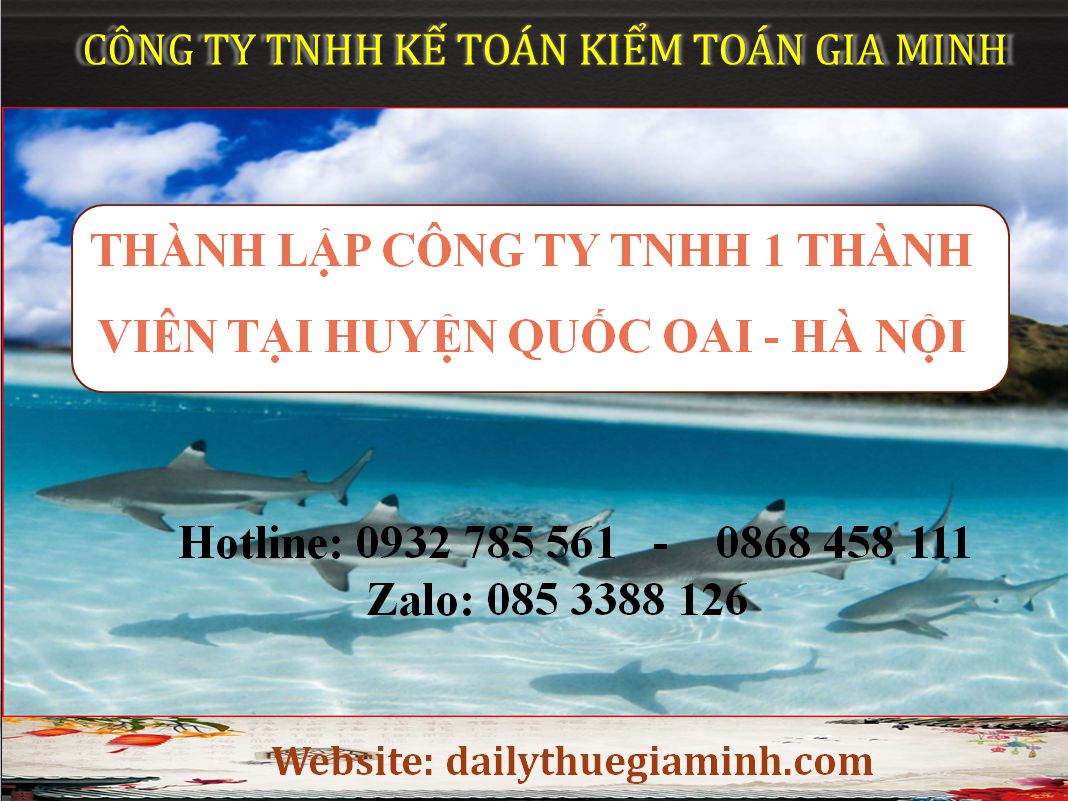 Thành lập công ty TNHH 1 thành viên Huyện Quốc Oai - Hà Nội 3 Thủ tục thành lập công ty TNHH 1 thành viên Huyện Quốc Oai - Hà Nội