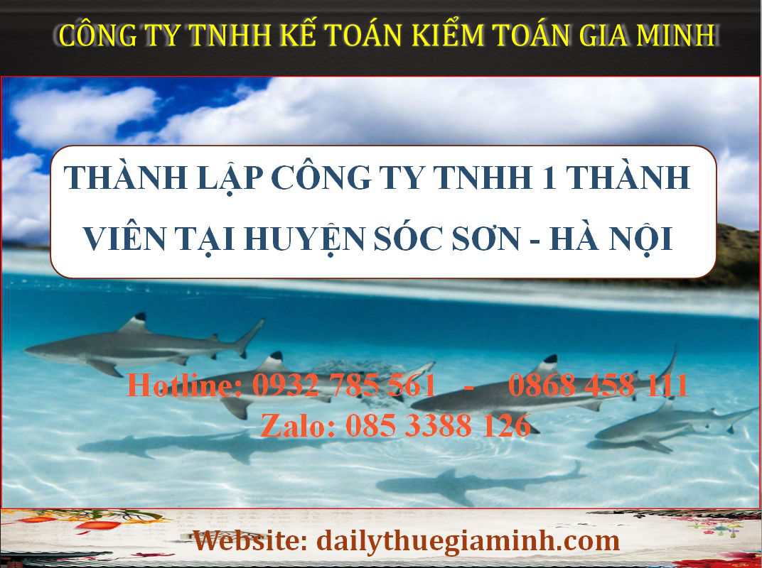Thành lập công ty TNHH 1 thành viên Huyện Sóc Sơn 3 Thủ tục Thành lập công ty TNHH 1 thành viên Huyện Sóc Sơn - Hà Nội