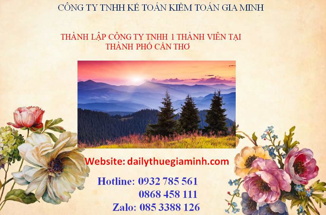 Thành lập công ty TNHH 1 thành viên thành phố Cần Thơ 9 Thủ tục Thành lập công ty TNHH 1 thành viên thành phố Cần Thơ