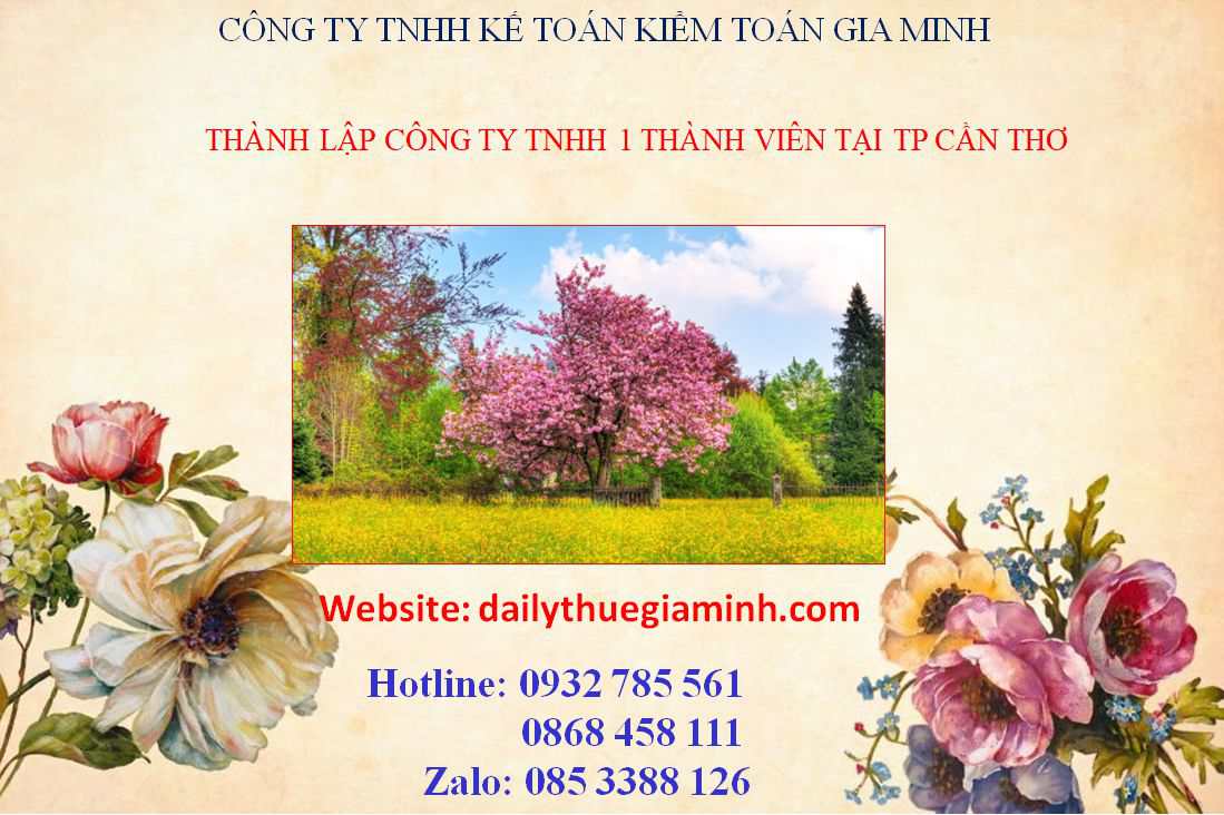 Thành lập công ty TNHH 1 thành viên Quận Hải Châu 3 Thủ tục thành lập công ty TNHH 1 thành viên Quận Hải Châu