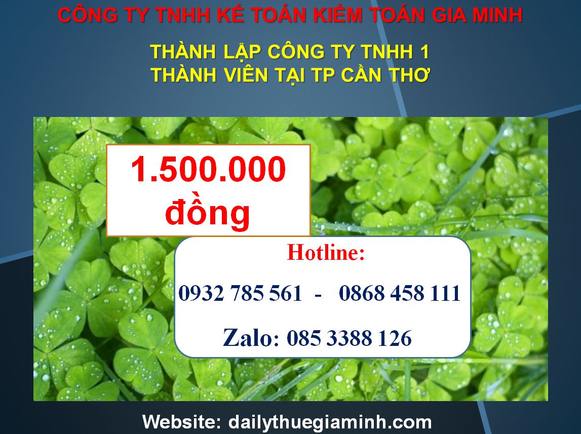 Thành lập công ty TNHH 1 thành viên Quận Hải Châu 4 Chi phí Thành lập công ty TNHH 1 thành viên Quận Hải Châu
