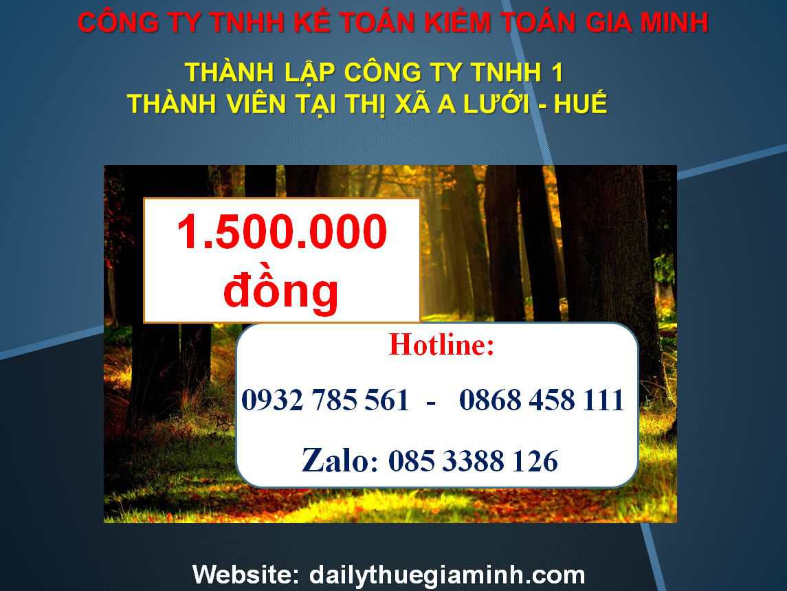 Thành lập công ty TNHH 1 thành viên Huyện A Lưới – Huế: Hướng dẫn chi tiết 2025 6 Chi phí Thành lập công ty TNHH 1 thành viên Huyện A Lưới - Huế