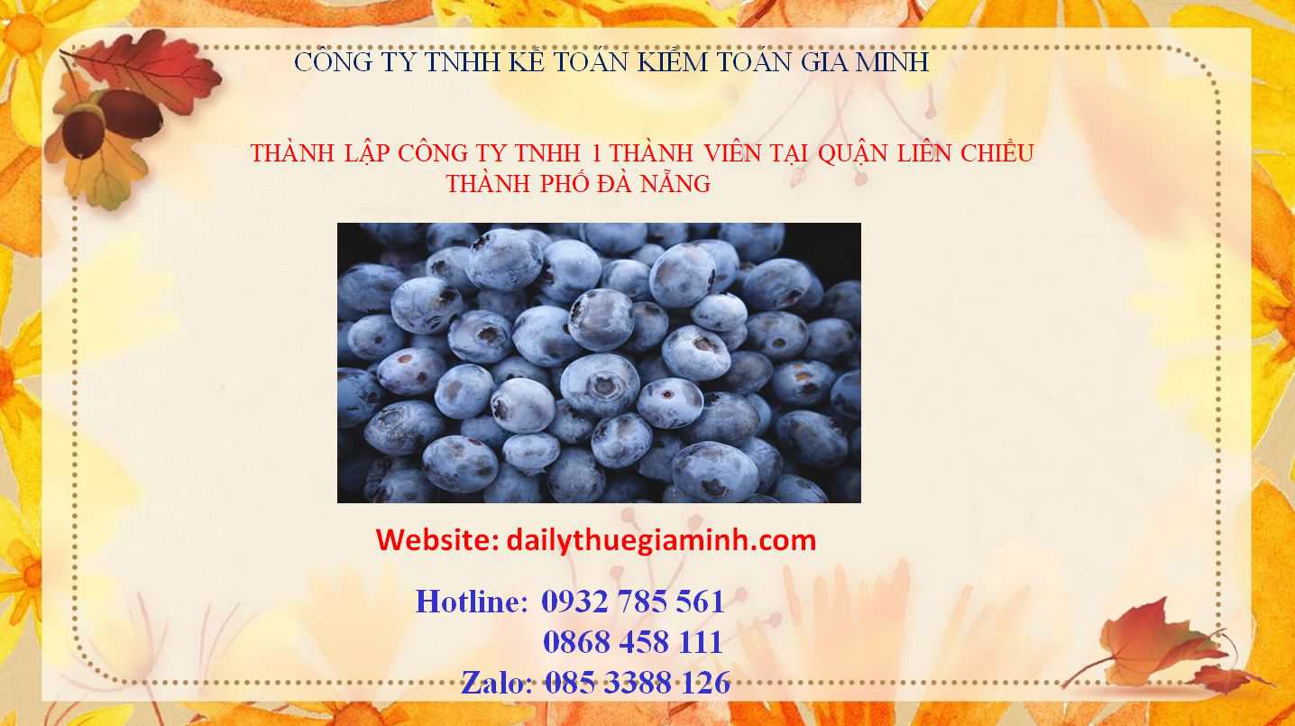 Thành lập công ty TNHH 1 thành viên Quận Liên Chiểu – Hướng dẫn A-Z cho người mới bắt đầu 4 Thủ tục thành lập công ty TNHH 1 thành viên Quận Liên Chiểu - Đà Nẵng