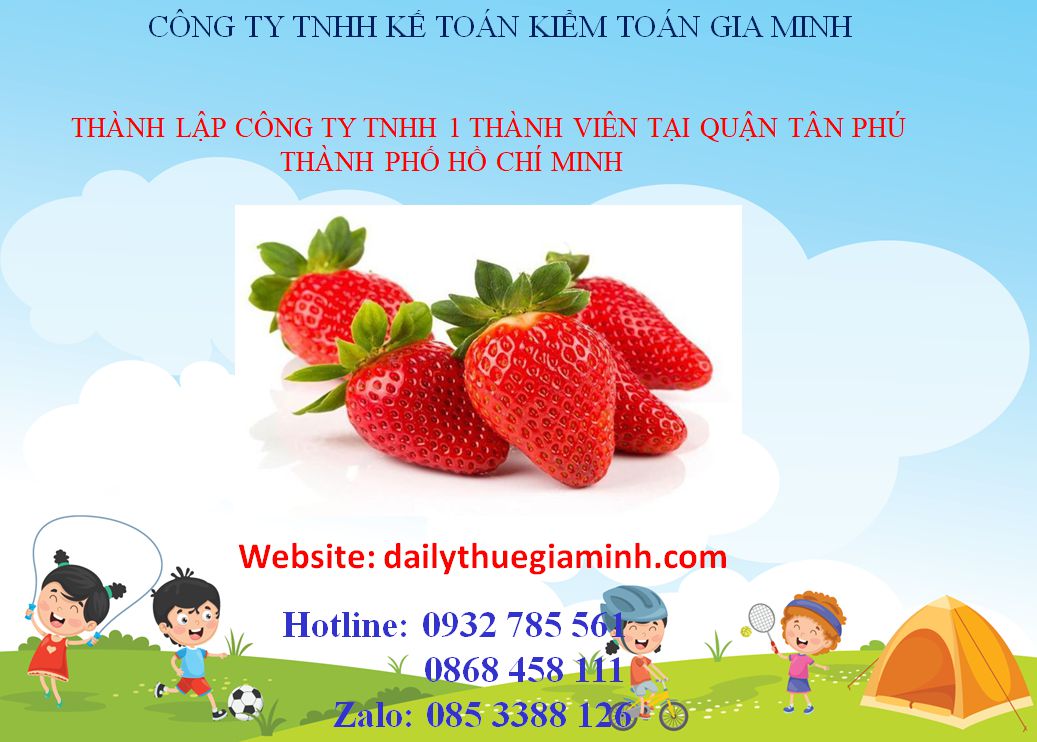 Thành lập công ty TNHH 1 thành viên Quận Tân Phú - TPHCM 3 Thành lập công ty TNHH 1 thành viên Quận Tân Phú - TPHCM