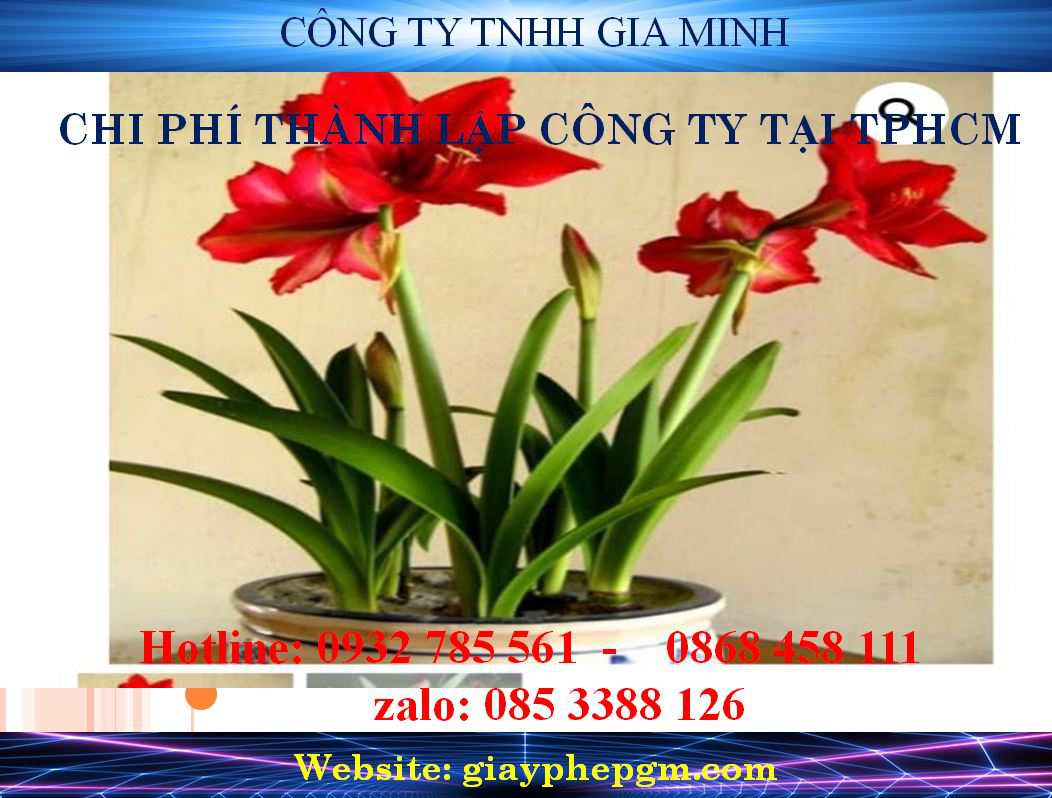 Dịch vụ xin giấy phép sản xuất phim
