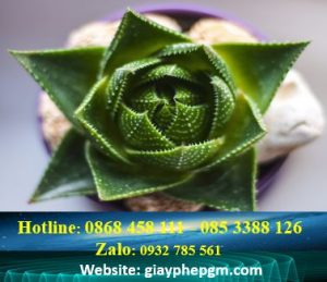 Thay đổi địa chỉ công ty khác quận tại Quận Tân Bình - TPHCM 6 Thủ tục thay đổi địa chỉ doanh nghiệp khác quận tại Quận Tân Bình - TPHCM