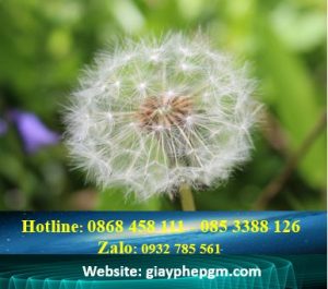 Thay đổi địa chỉ công ty khác quận tại Thành Phố Thủ Đức - TPHCM 6 Thủ tục thay đổi địa chỉ doanh nghiệp khác quận tại Thành Phố Thủ Đức - TPHCM