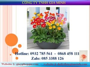 Thủ tục cấp chứng nhận tập huấn kiến thức VSATTP 4 Cấp giấy chứng nhận tập huẩn kiến thức an toàn thực phẩm