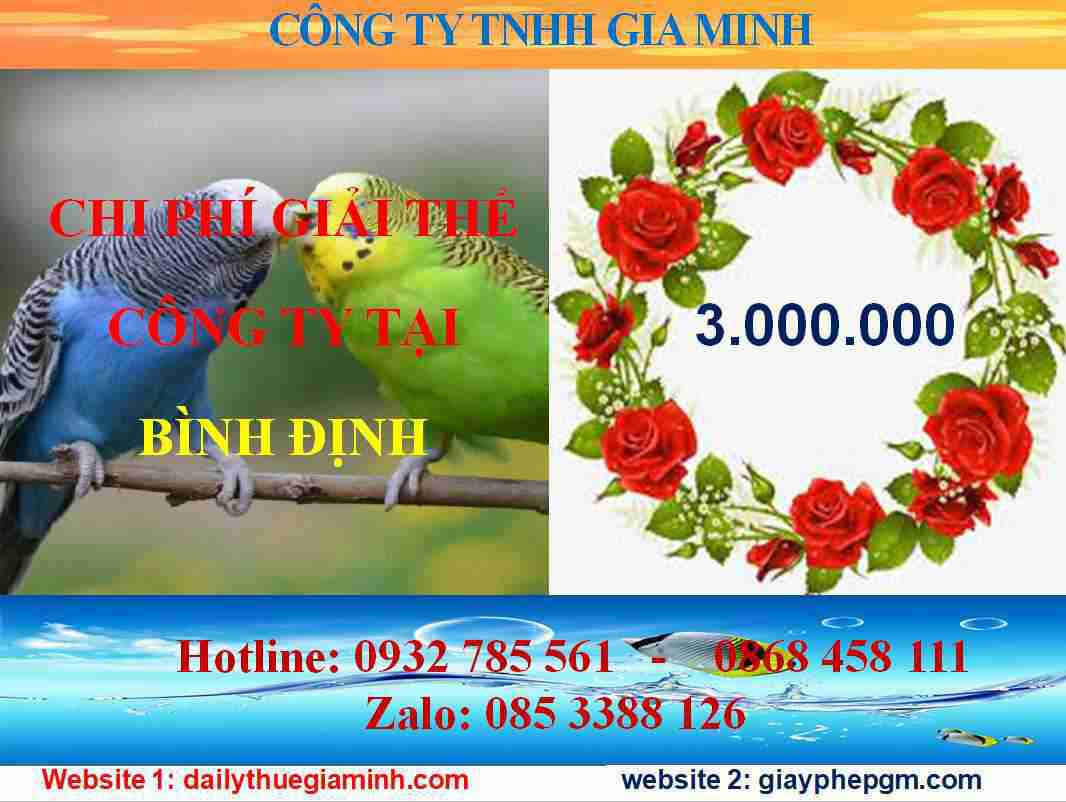 Chi phí giải thể công ty tại Bình Định