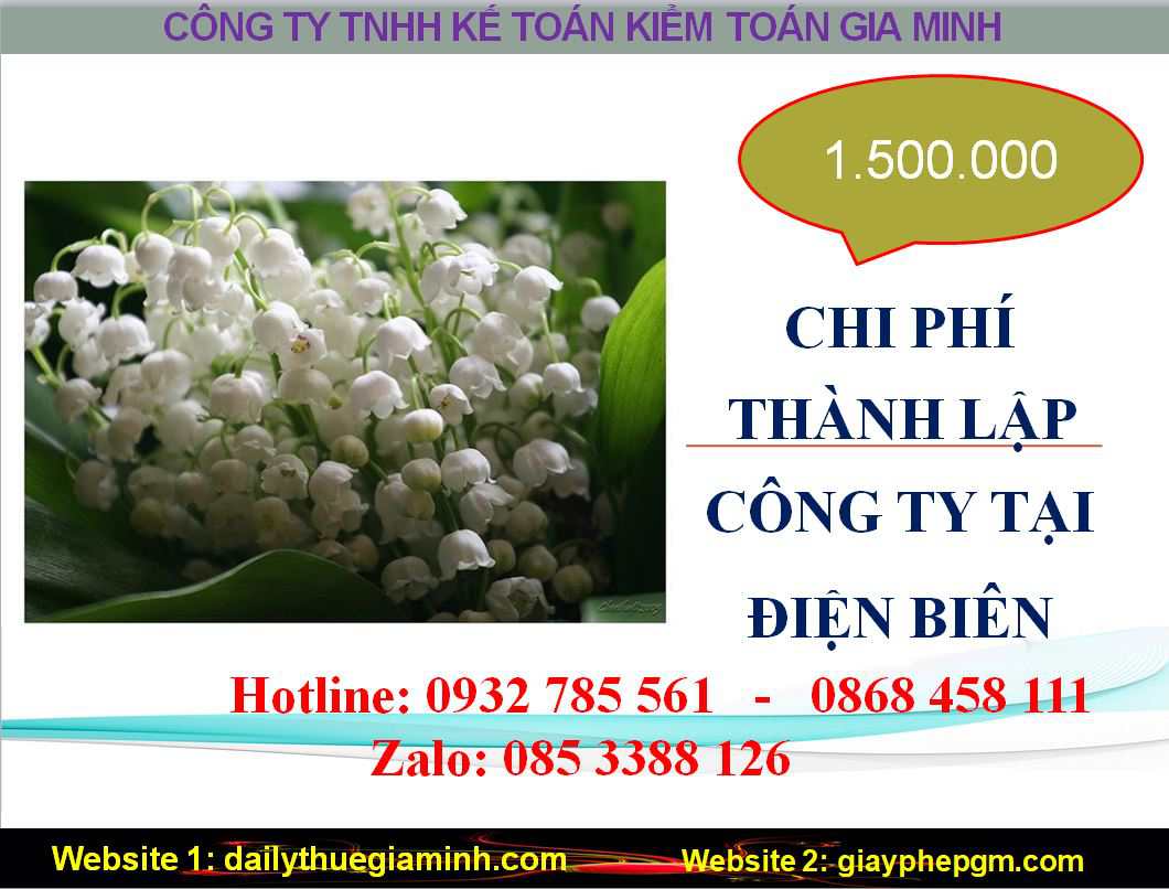 Chi phí thành lập doanh nghiệp giá rẻ tại Điện Biên