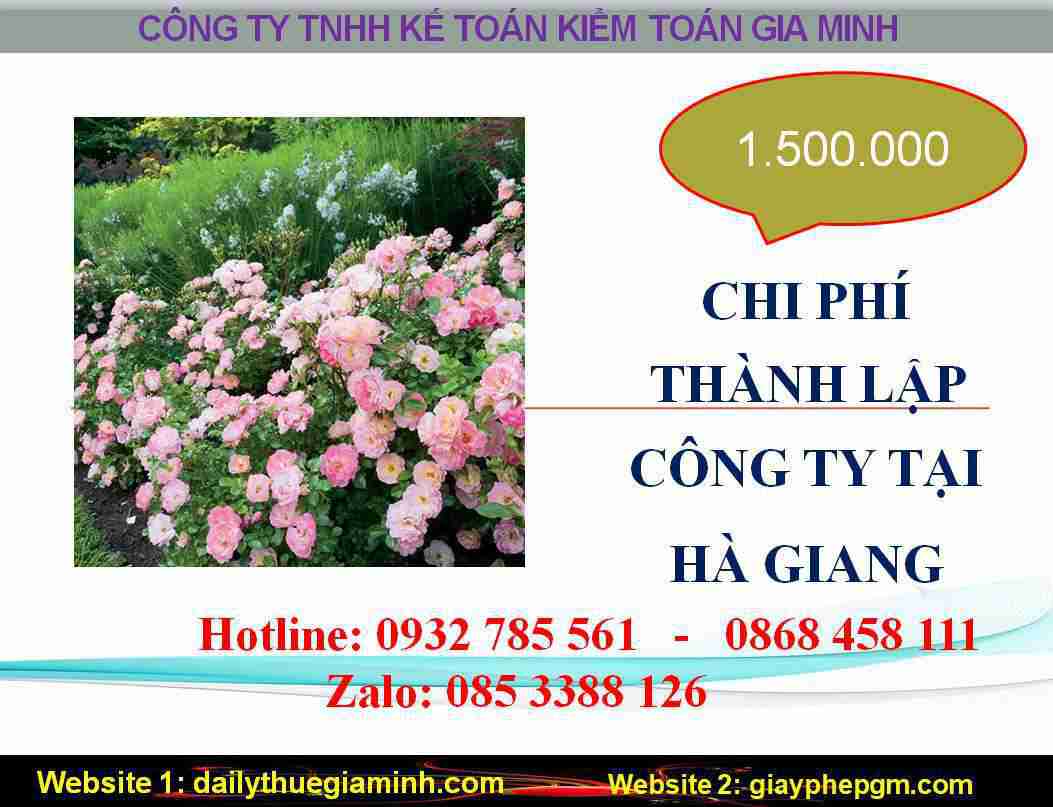 Thành lập công ty giá rẻ tại Hà Giang 5 Chi phí thành lập doanh nghiệp giá rẻ tại Hà Giang