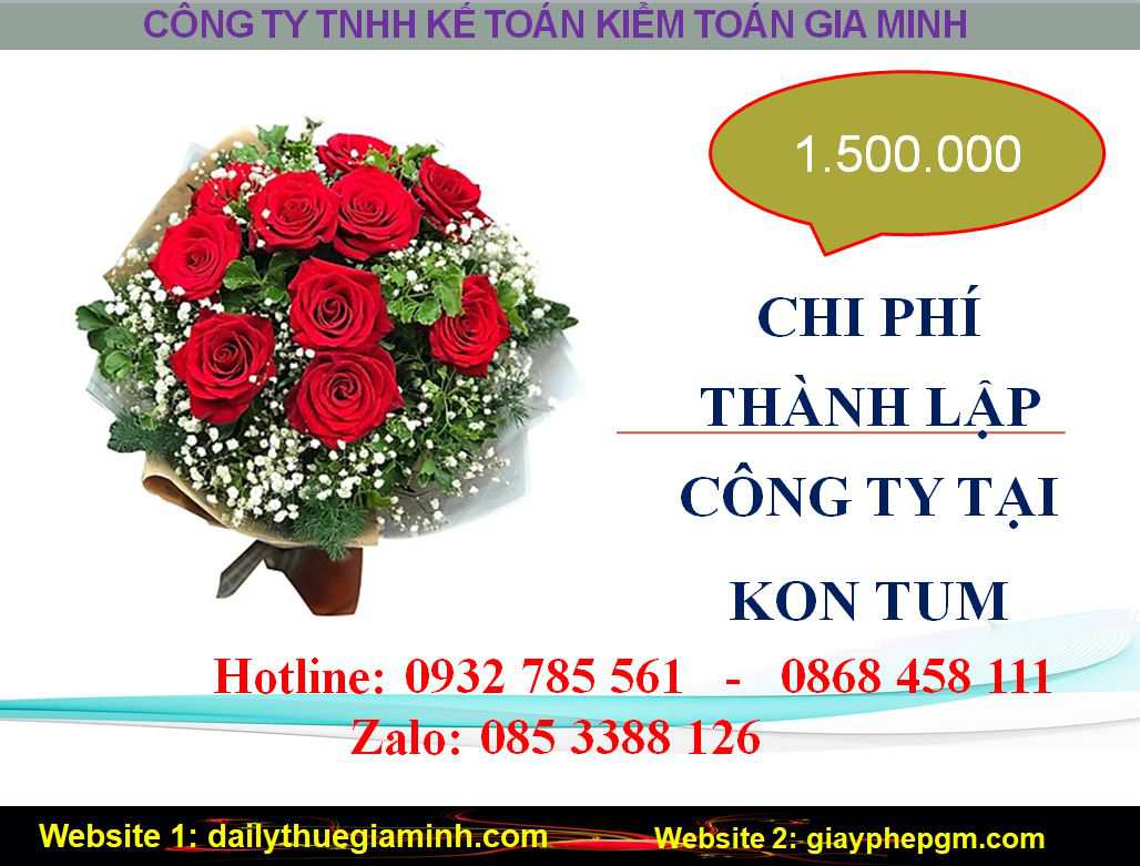 Thành lập công ty giá rẻ tại Lai Châu 5 Chi phí thành lập doanh nghiệp giá rẻ tại Kon Tum
