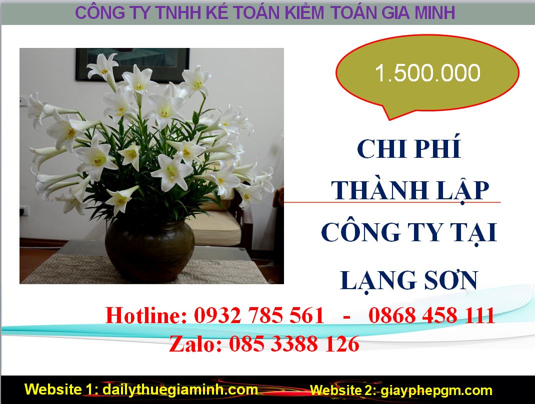 Thành lập công ty giá rẻ tại Lạng Sơn 5 Chi phí thành lập doanh nghiệp giá rẻ tại Lạng Sơn