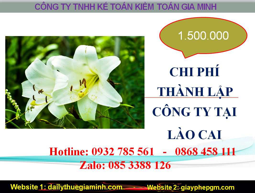 Thành lập công ty giá rẻ tại Lào Cai 5 Chi phí thành lập doanh nghiệp giá rẻ tại Lào Cai