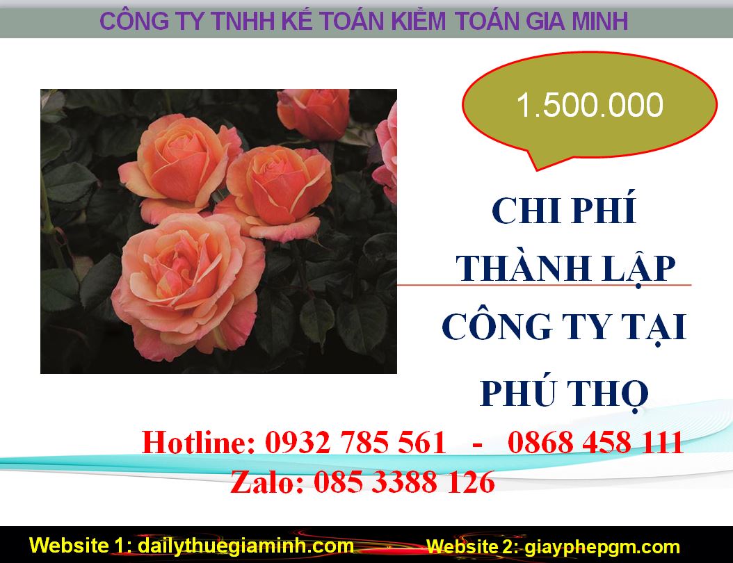 Thành lập công ty giá rẻ tại Phú Thọ 5 Chi phí thành lập doanh nghiệp giá rẻ tại Phú Thọ