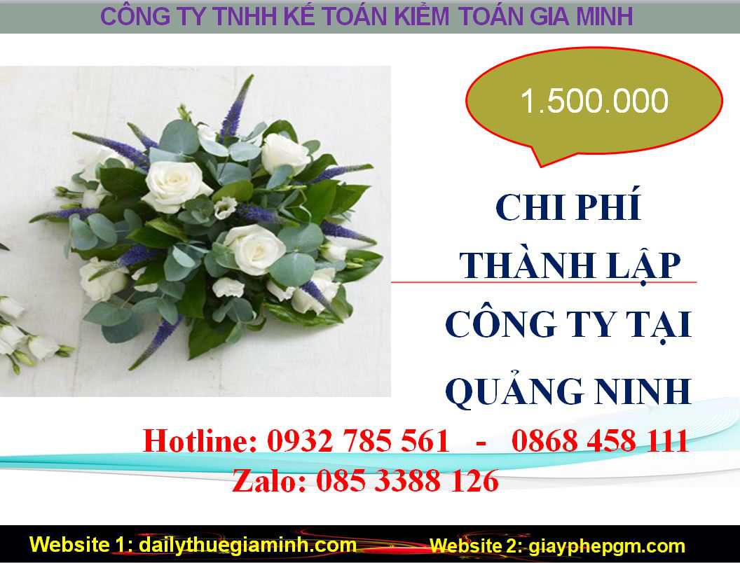 Thành lập công ty giá rẻ tại Quảng Ninh 5 Chi phí thành lập doanh nghiệp giá rẻ tại Quảng Ninh