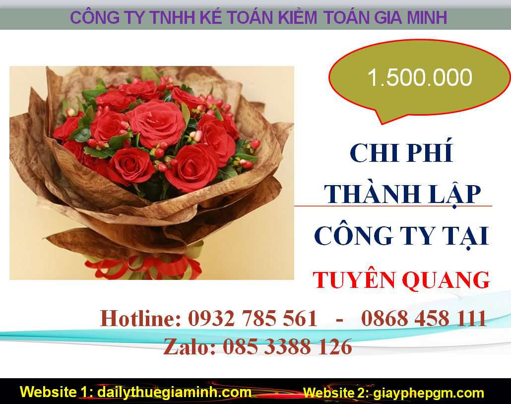 Thành lập công ty giá rẻ tại Tuyên Quang 5 Phí thành lập công ty ở Tuyên Quang