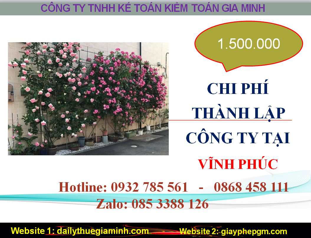 Thành lập công ty giá rẻ tại Vĩnh Phúc 5 Chi phí thành lập doanh nghiệp giá rẻ tại Vĩnh Phúc