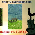 Giải thể công ty tại Ninh Thuận 6 Cần giải thể công ty tại Ninh Thuận