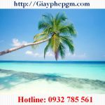 Giải thể công ty tại Hà Giang 6 Cần giải thể công ty tại Hà Giang