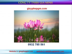 Giải thể chi nhánh tại Quận Ninh Kiều - Cần Thơ 6 Giải thể chi nhánh tại Quận Ninh Kiều