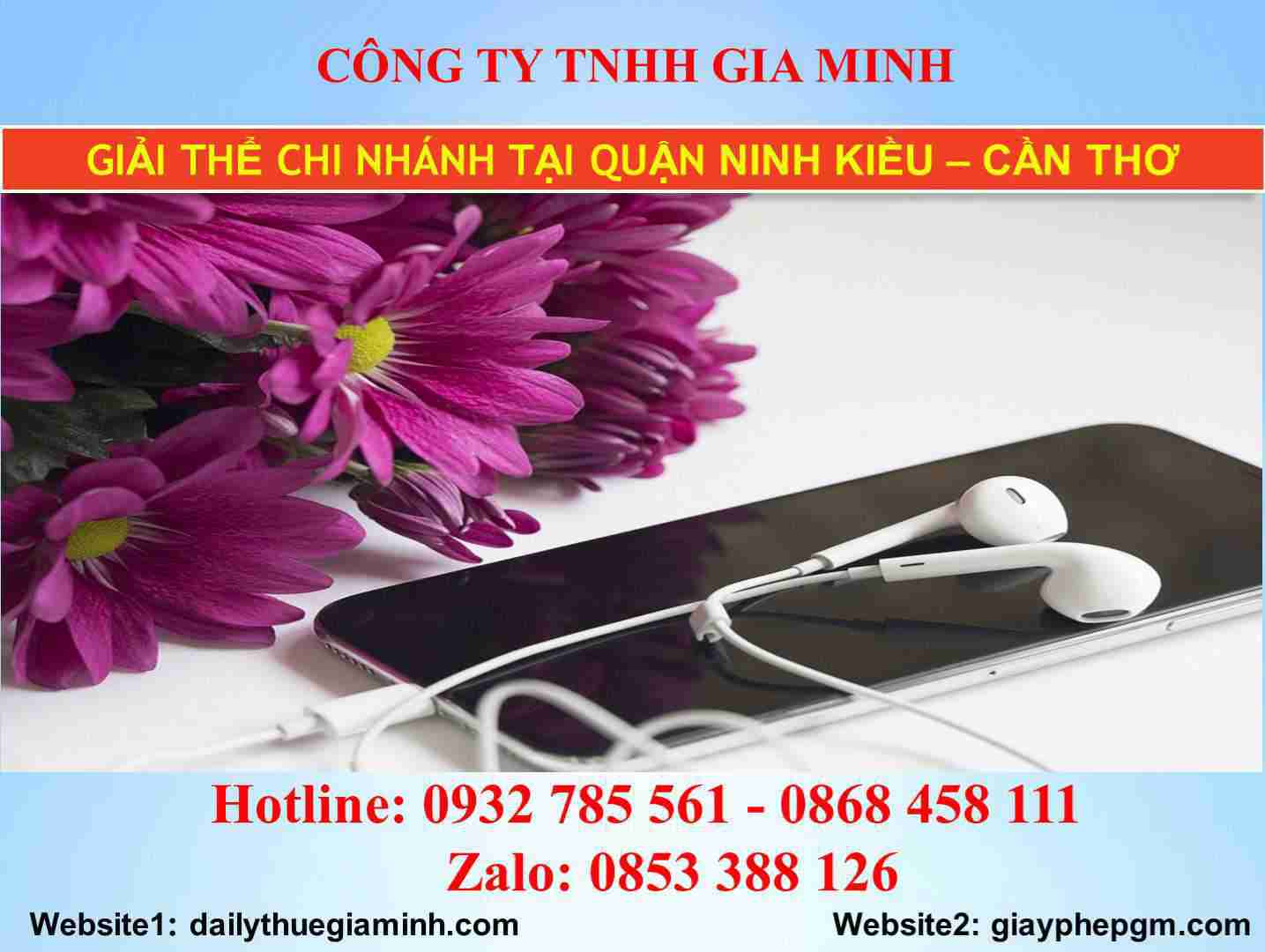 Giải thể chi nhánh tại Quận Ninh Kiều - Cần Thơ 4 Giải thể chi nhánh tại Quận Ninh Kiều