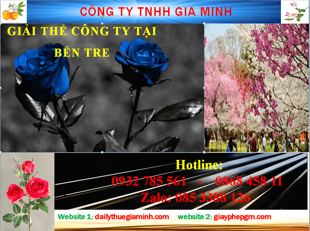Giải thể công ty tại Bình Định