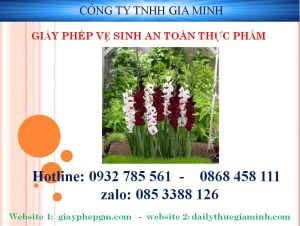 Hồ sơ xin cấp giấy vệ sinh an toàn thực phẩm