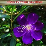 Bảng giá thay đổi địa điểm kinh doanh cùng quận