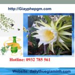 Thành lập công ty giá rẻ tại Lai Châu 6 Cần thành lập công ty tại Lai Châu