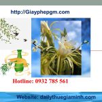 Thành lập công ty giá rẻ tại Lạng Sơn 6 Cần thành lập công ty tại Lạng Sơn