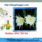 Thành lập công ty giá rẻ tại Lào Cai 6 Cần thành lập công ty tại Lào Cai
