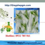 Thành lập công ty giá rẻ tại Nam Định 6 Cần thành lập công ty tại Nam Định