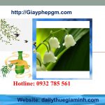 Thành lập công ty giá rẻ tại Phú Thọ 6 Cần thành lập công ty tại Phú Thọ