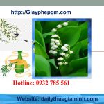 Thành lập công ty giá rẻ tại Ninh Bình 10 Cần thành lập công ty tại Ninh Bình